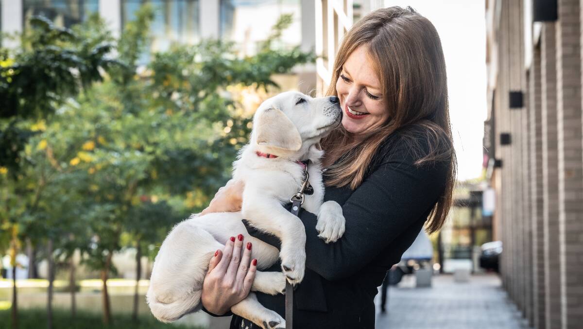 Tamara Searant, general manager of social change at Guide Dogs NSW/ACT, with puppy Hugo. Picture by Karleen Minney