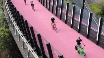 Pretty in pink: The best way to explore the city of Auckland