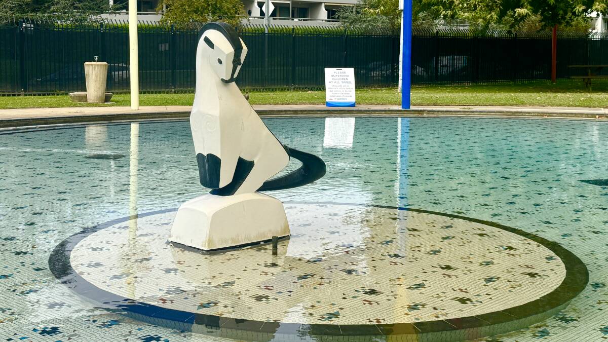 Is this creature in the Manuka Pool toddler pool a seal or a unicorn? Picture by Tim the Yowie Man