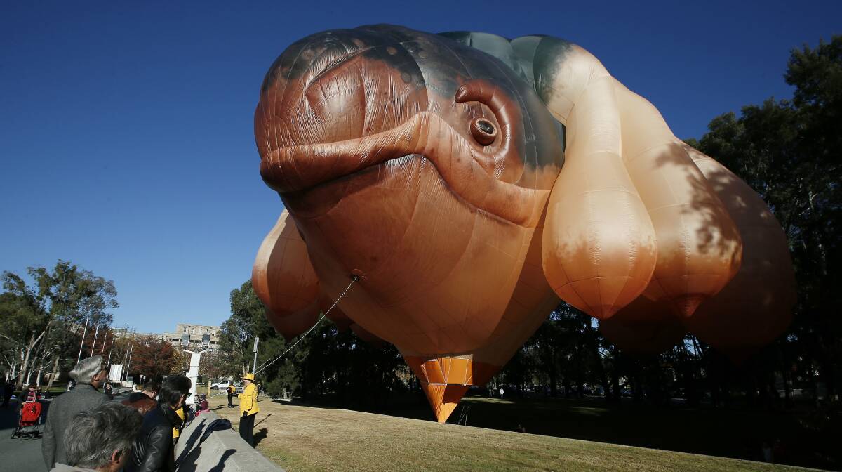 Crowds taking a look at former Canberra artist Patricia Piccinini's work Skywhale at the National Gallery of Australia in 2013. Picture: Jeffrey Chan