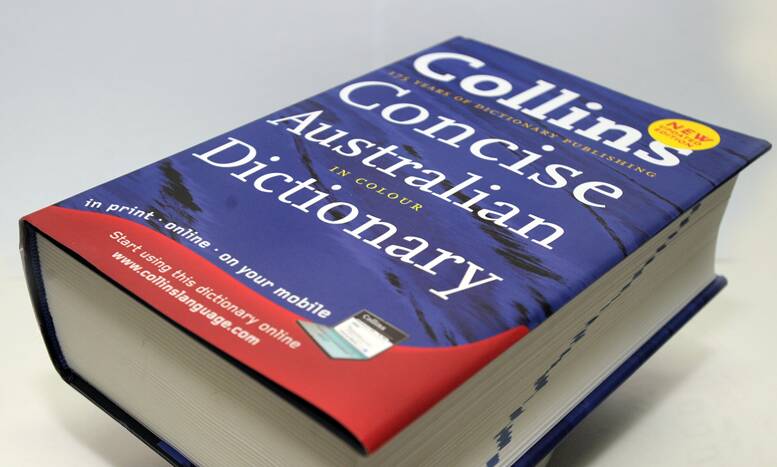 Before Google there was dictionaries. Picture: Karleen Williams