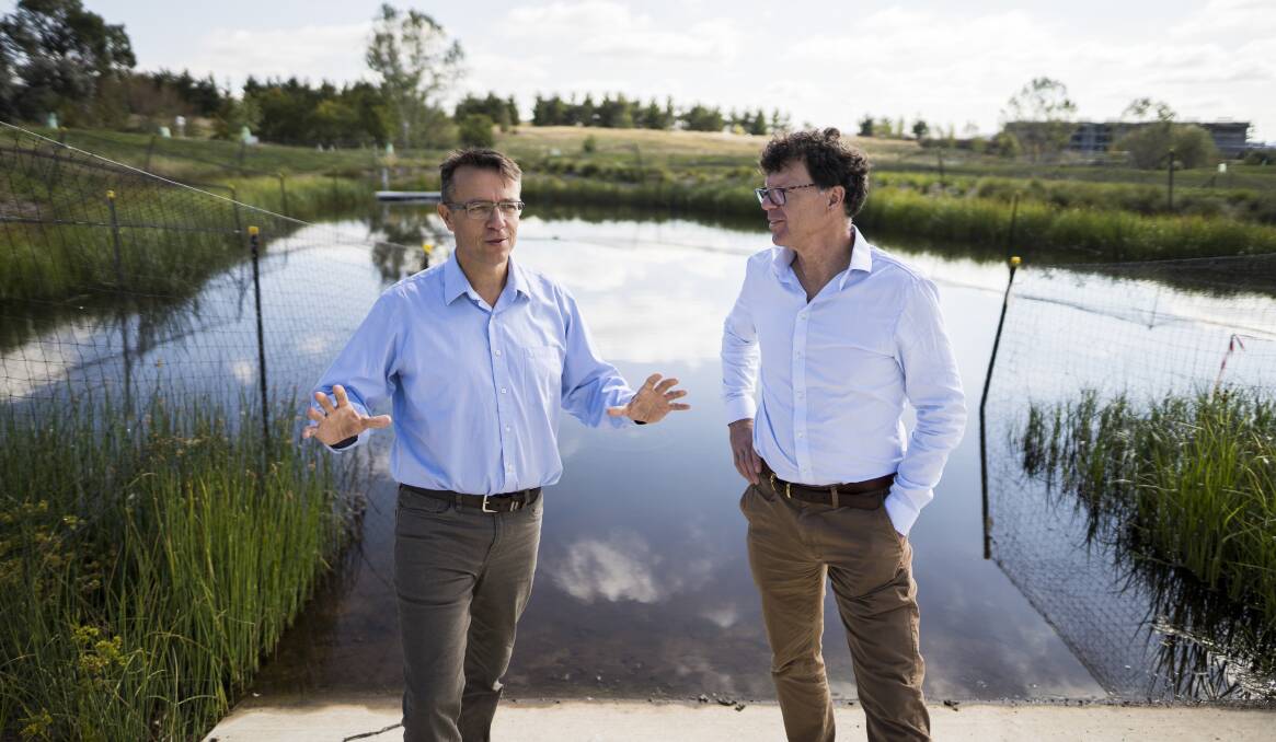 ACT director of water catchment and policy Matt Kendall and ACT Healthy Waterways project manager Ralph Ogden at the Holder wetlands, which was the first of the project's wetlands sites to be completed. Picture: Dion Georgopoulos
