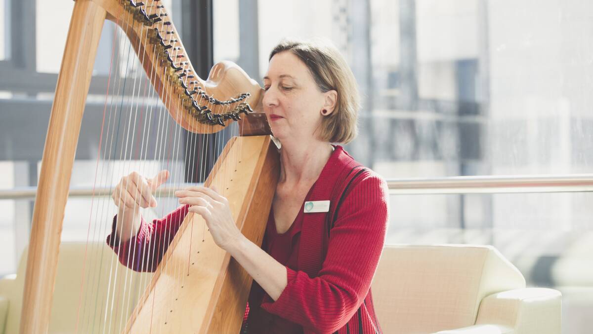 Therapeutic harpist Alison Ware at Canberra Hospital. Picture: Jamila Toderas