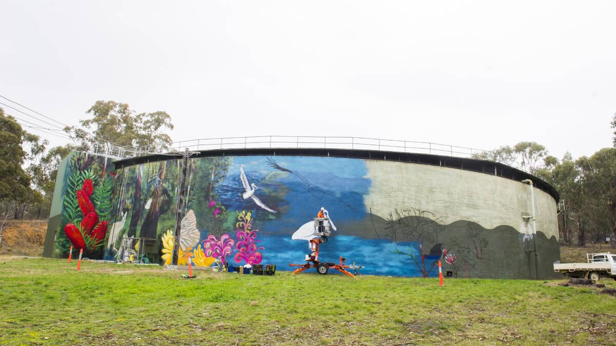 Artist Geoff Filmer last year creating the mural on the water tank on Hindmarsh Drive. Picture: Dion Georgopoulos