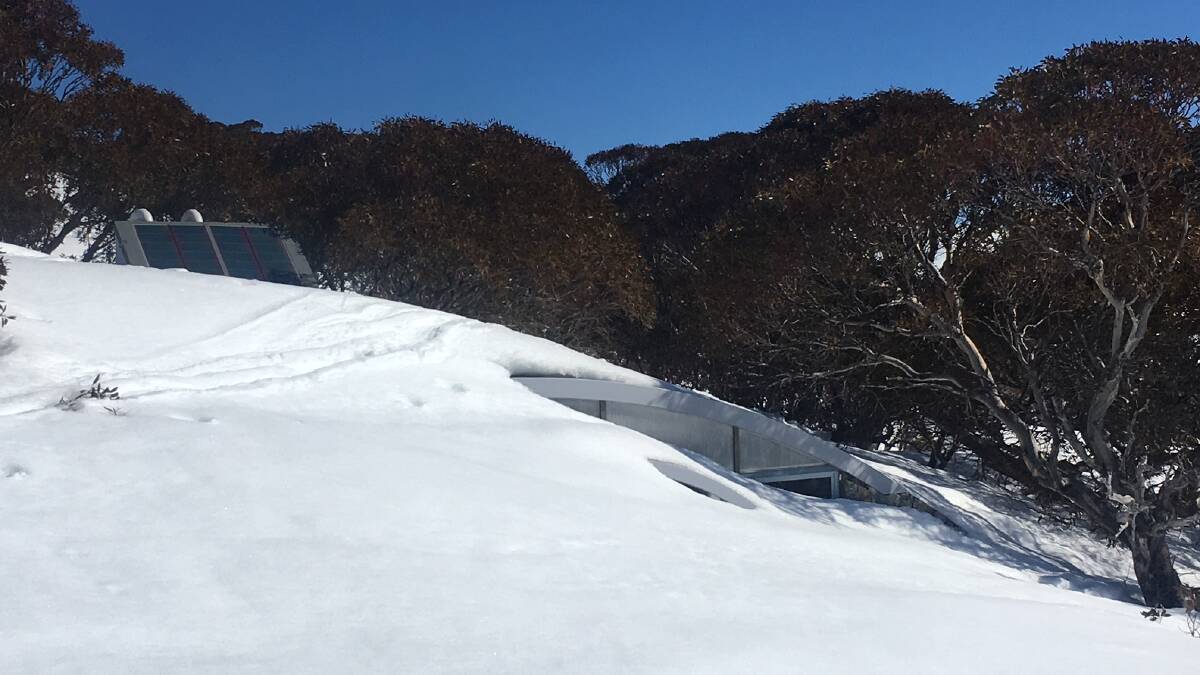 Where in the Snowies THIS week? Picture: Tim the Yowie Man