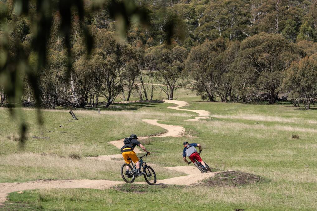 Emerging from the forest into open fields on the Thredbo Valley Extension . Picture: Robert Mulally
