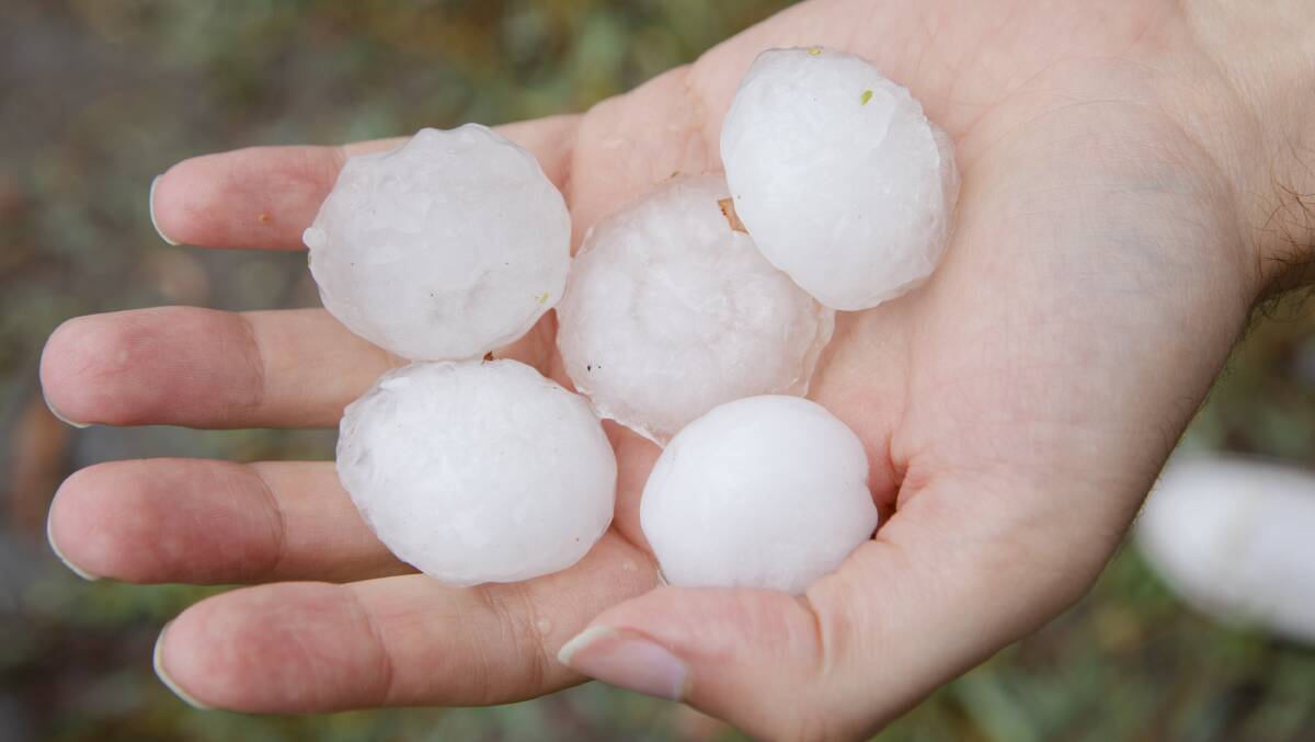 Hail from the storm that hit Canberra last month. Picture: Jamila Toderas