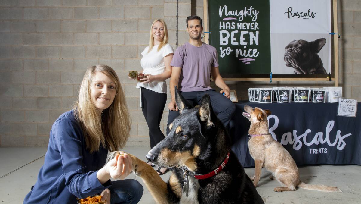 Rascals Treats founders Clare Guest, and Susie and Ben Hanns with their dogs Gilbert and Ruby. Picture: Sitthixay Ditthavong