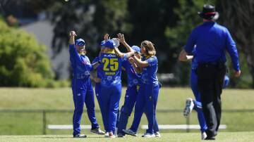 The Meteors now have more of a chance at landing a WBBL contract. Picture by Keegan Carroll