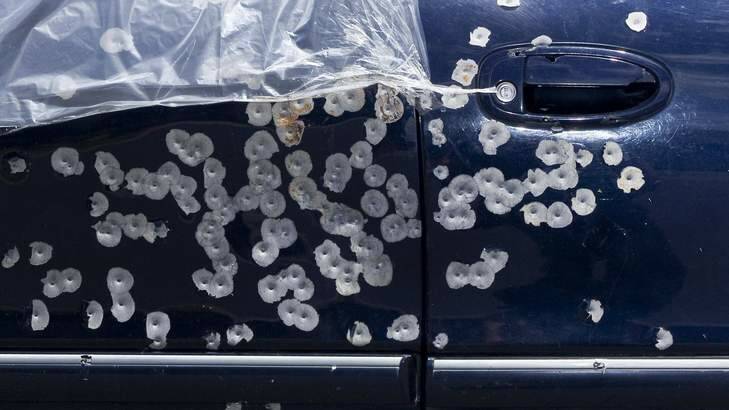 Detailed photograph of the gun shots targeted at Graham Wilson's car during a drive by shooting in Canberra. Photo: Katherine Griffiths