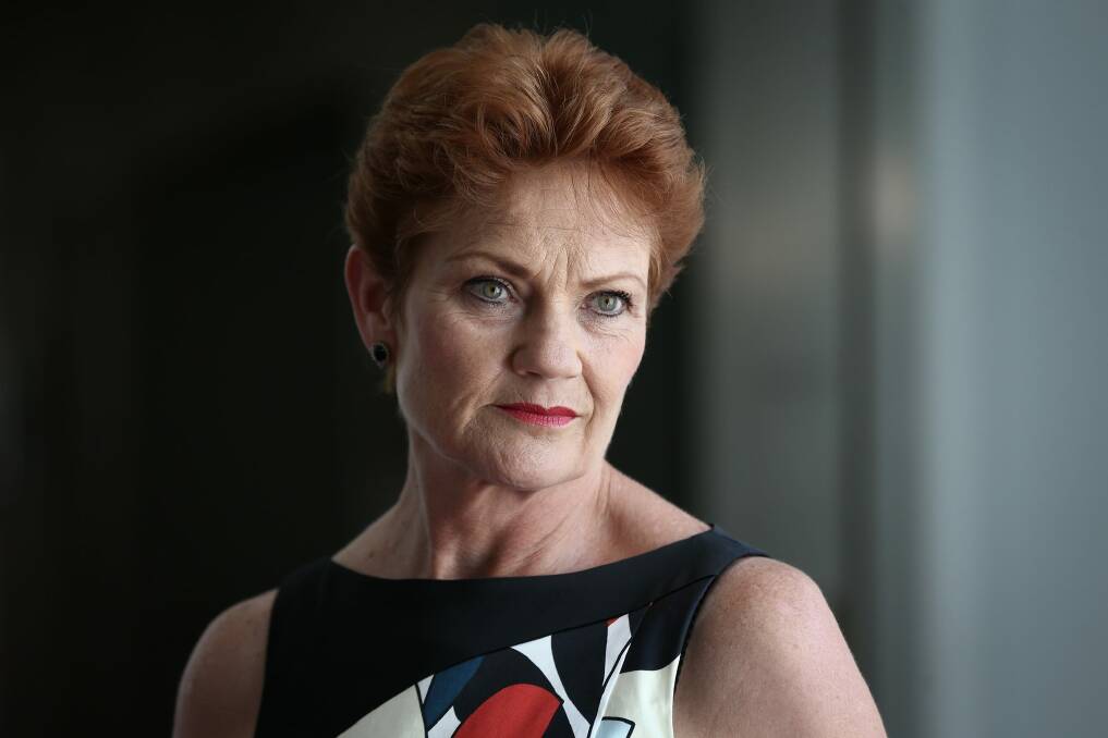 Pauline Hanson's One Nation holds four seats in the new Senate. Photo: Alex Ellinghausen
