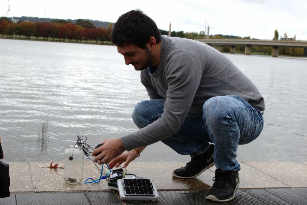 University of Canberra student and research assistant Lorenzo Bertolelli sets up the IoT listening device with a captive frog. Photo: University of Canberra