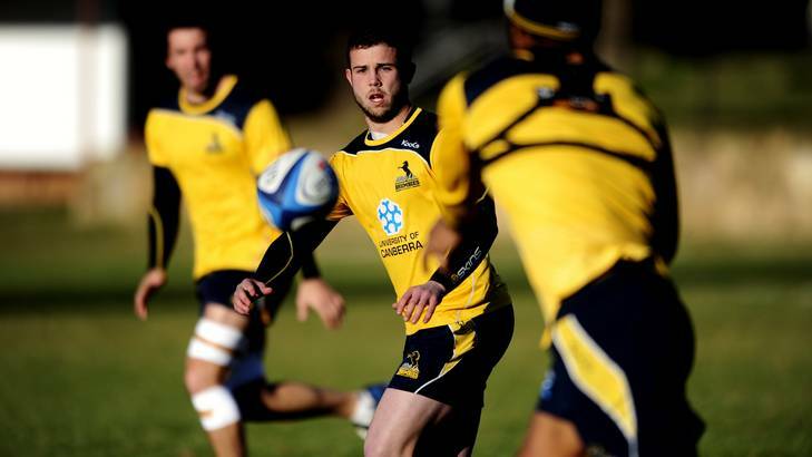 Brumbies player Robbie Coleman during training at Brumbies HQ, Griffith. Photo: Melissa Adams