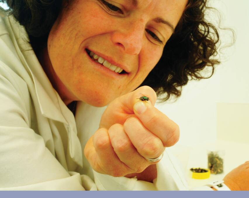 Victoria Police forensic scientist Dr Annalisa Durdle will explain at a public talk how the common blowfly can fight crime. Photo: Australian Academy of Science 