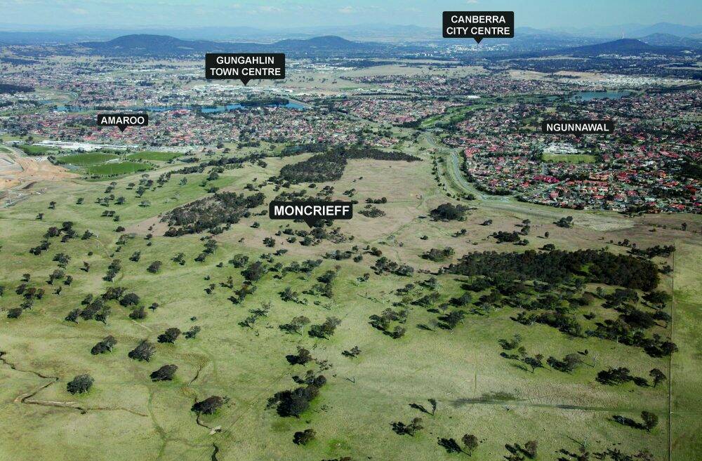 An aerial image of the new suburb of Moncrieff. Photo: Supplied