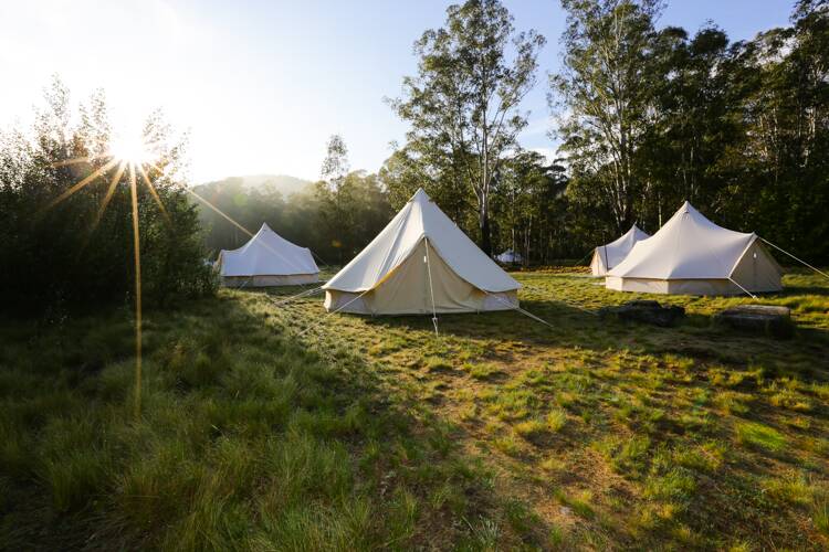 Luxury camping company Wildfest will be providing the accommodation at Tidbinbilla with 10 bell tents being pitched at the nature reserve.  Photo: Gaye Gerard