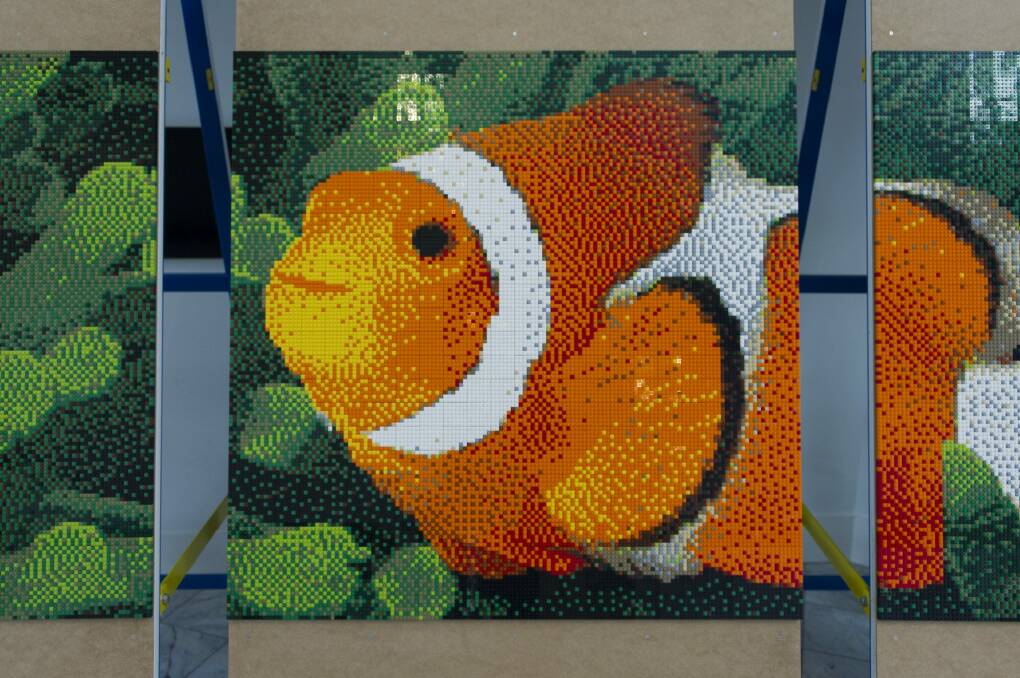 The completed three-panel mosaic revealed a clownfish among seaweed. Photo: Jay Cronan