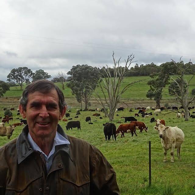 Boorowa farmer David Marsh has turned cattle grazing on its head by focusing on the landscape instead of livestock. Photo: Supplied
