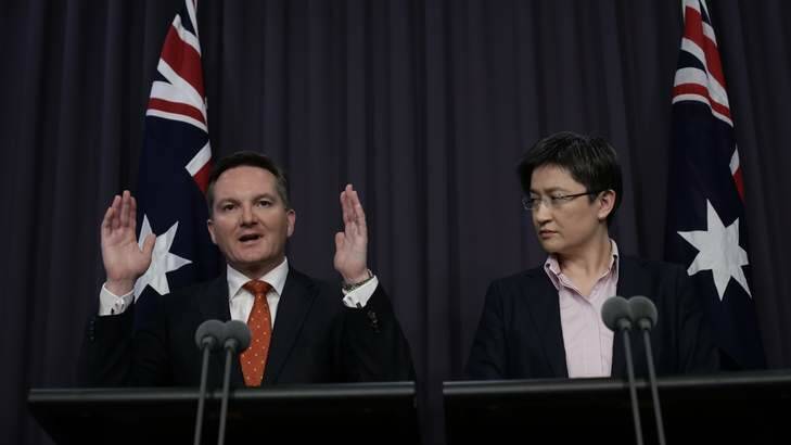 Treasurer Chris Bowen and Finance Minister Senator Penny Wong outline the government's mini-budget. Photo: Alex Ellinghausen