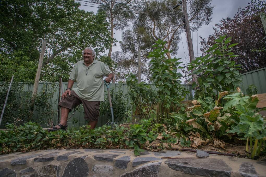 Tom Calma started gardening at a young age. Photo: Karleen Minney