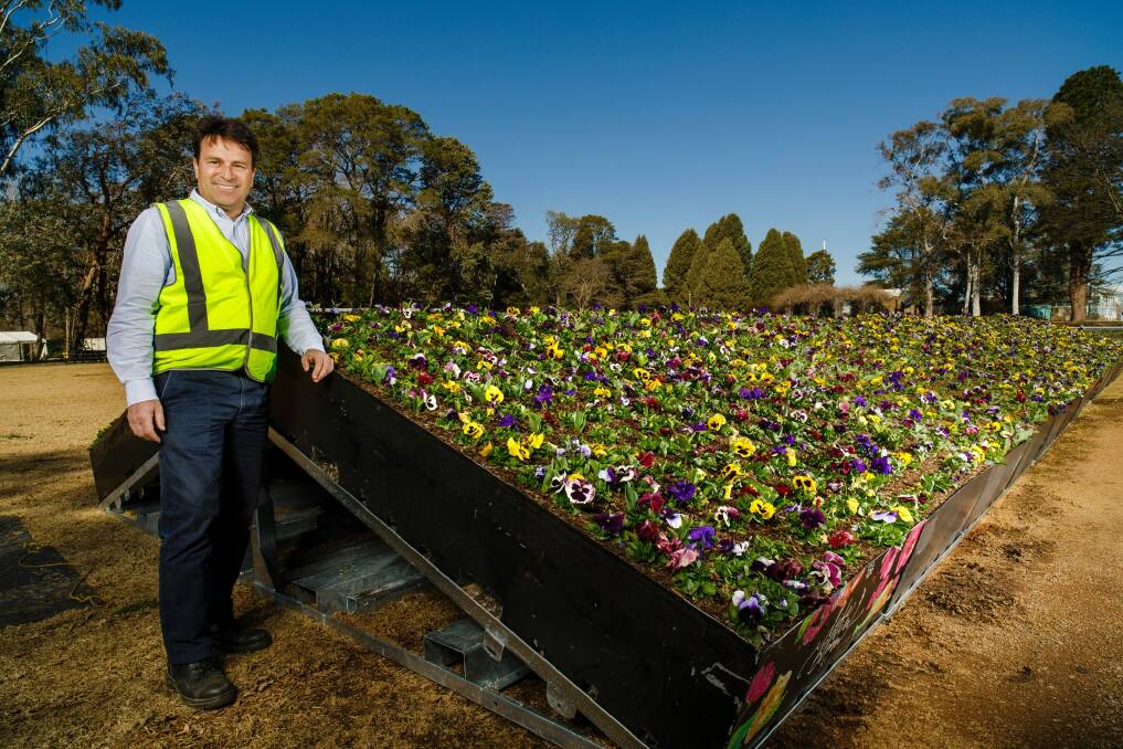 Strathayr's Peter Casimaty with some of the new tilted planter boxes that will feature at this year's Floriade event. Photo: Sitthixay Ditthavong