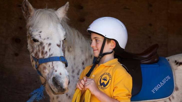 The Pegasus Riding for the Disabled has been saved by funding from the community. Pictured is Thomas Broadbent, 8, of Weetangera. Photo: Katherine Griffiths