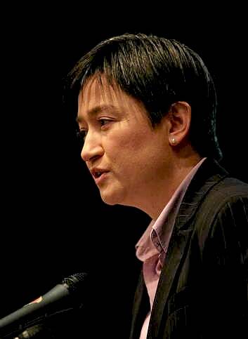 Finance Minister Penny Wong says the Coalition's plan will undermine services. Photo: Dallas Kilponen