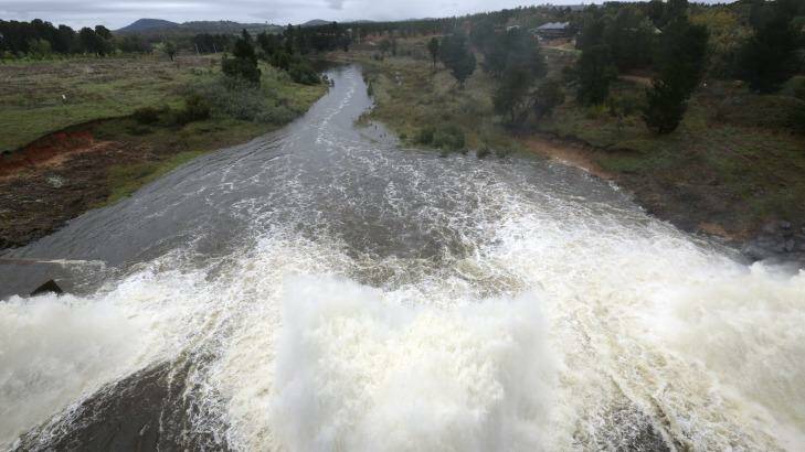 Some experts support a fish ladder proposal for Scrivener Dam. Photo: Jeffrey Chan