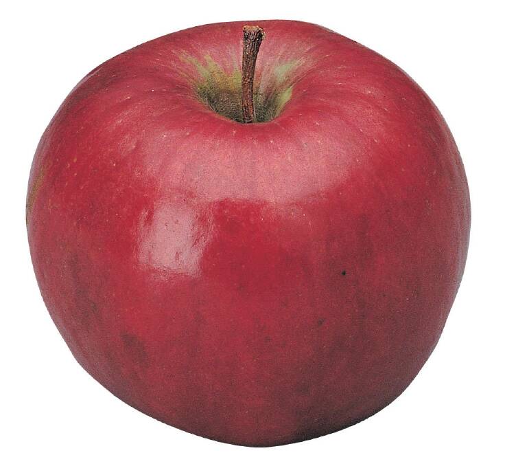 A Lady Williams apple. Photo: Supplied