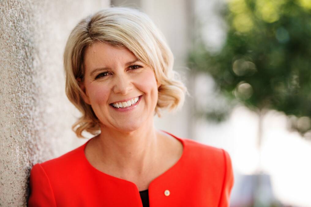 Natasha Stott Despoja pleaded with governments to commit more funding to domestic violent related issues.  Photo: Ben Searcy