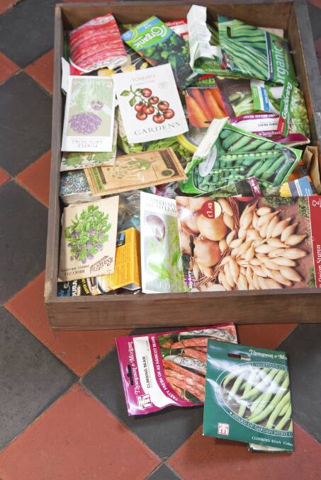 I'm using the seeds in my seed box. Photo: iStock