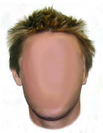 A partial facefit image of a suspect in the 1998 break-in of the couple's Red Hill home. Photo: ACT Policing