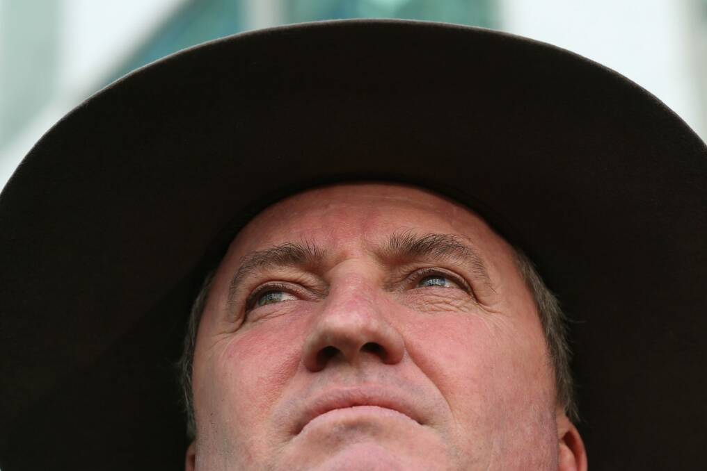 Deputy Prime Minister Barnaby Joyce at Parliament House. Photo: Andrew Meares