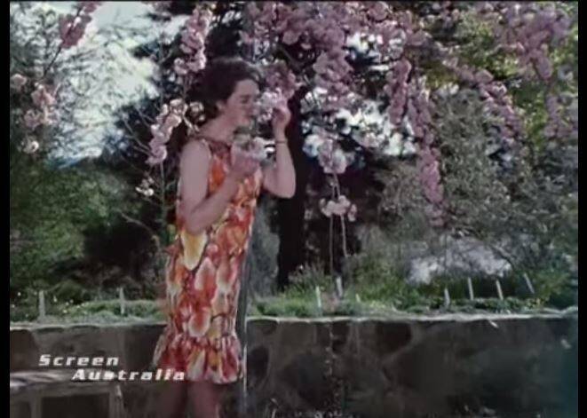 Woman sniffs a tree for unknown reasons in 1964 video celebrating Lake Burley Griffin. Photo: Screen Australia
