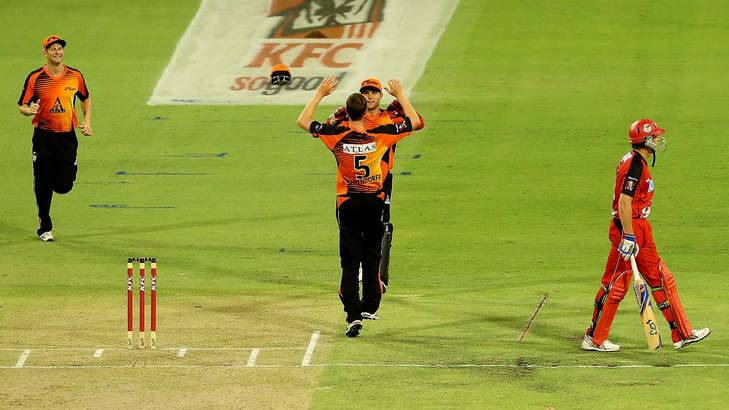 Jason Behrendorff and Tom Triffitt of the Scorchers celebrate the wicket of Ben Rohrer of the Renegades. Photo: Paul Kane