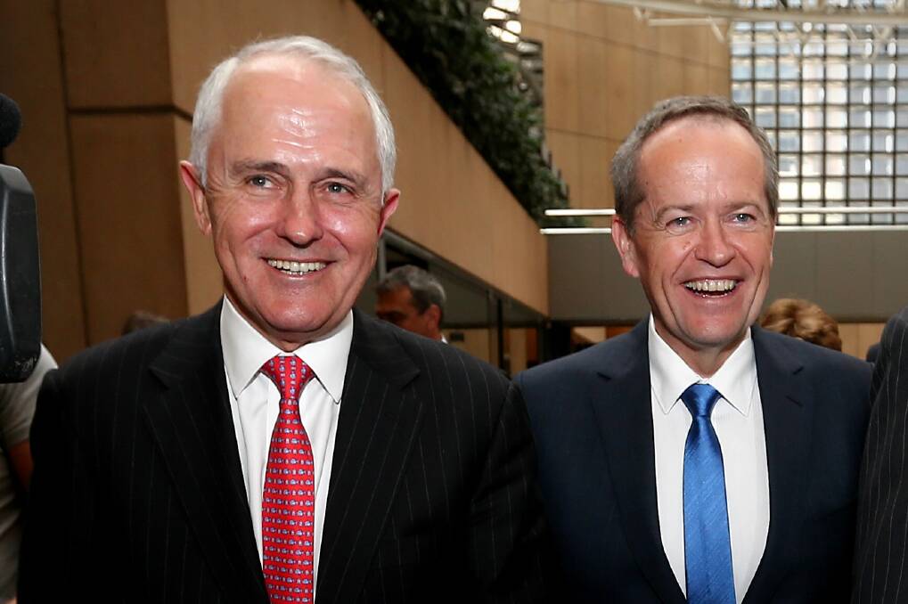 Malcolm Turnbull and Bill Shorten both are experienced professionals and politicians. Photo: Alex Ellinghausen 