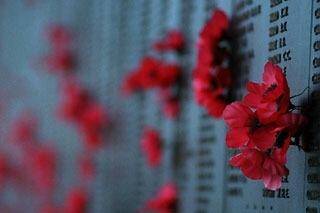 The poppy has become a powerful symbol of remembrance.  Photo: Supplied 