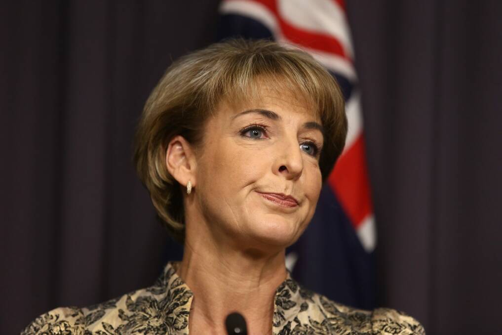 Opposed to the law change: Minister for Women Michaelia Cash. Photo: Andrew Meares
