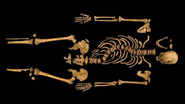 Remains found underneath a car park last September at the Grey Friars excavation in Leicester, which have been declared "beyond reasonable doubt" to be the long lost remains of England's King Richard III, missing for 500 years. Photo: University of Leicester