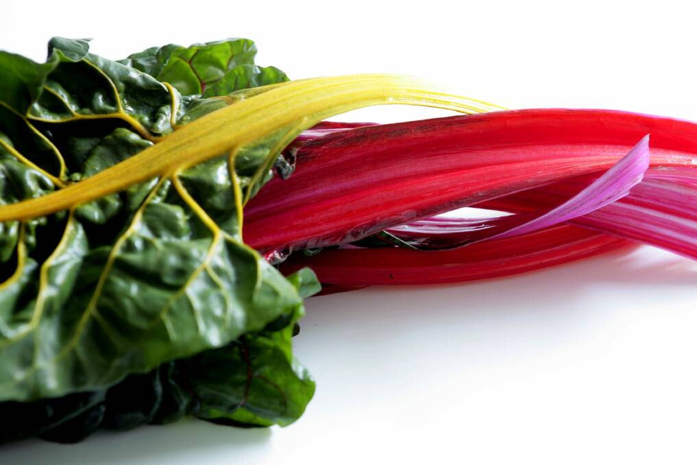 Fail to feed your chard and it will do nothing much beyond produce a few pale leaves. Photo: Jennifer Soo