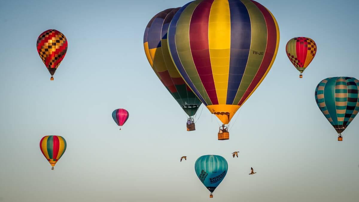 The Balloon Spectacular brings colour to the bush capital. Photo: Karleen Minney