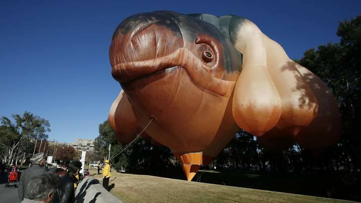 The Skywhale in all its glory. Photo: Jeffrey Chan