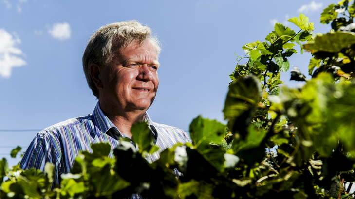Despite his busy schedule both in Australia and overseas, Brian Schmidt makes the time for his Maipenrai vineyard at Sutton. Photo: Rohan Thomson