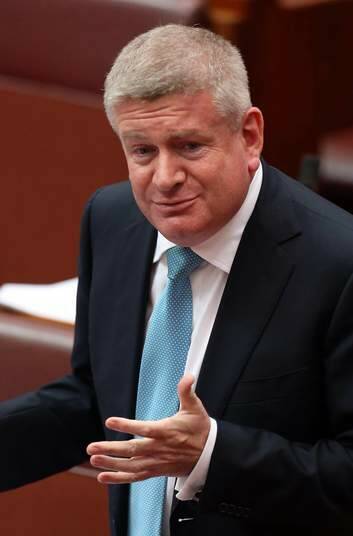 Said the government is seeking advice about "time lines" for the scheme from the NDIA board: Assistant Minister for Social Services Mitch Fifield. Photo: Andrew Meares