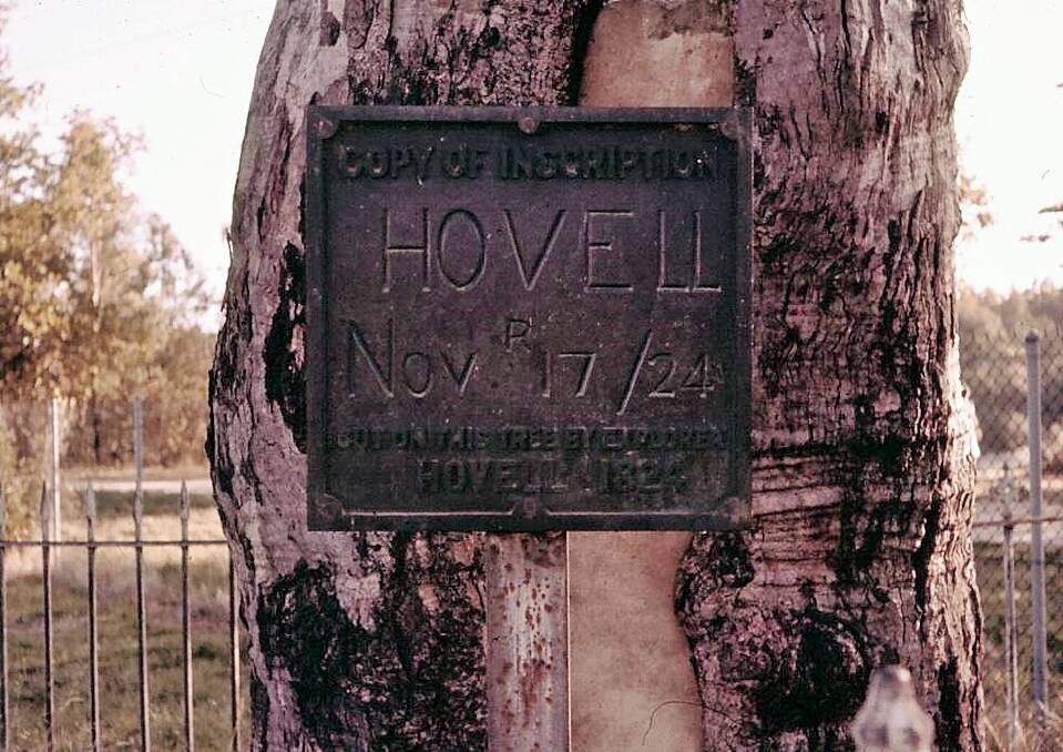Albury's Hovell Tree as photographed in 1962 by Ken Wood, of Holt. Photo: Ken Wood