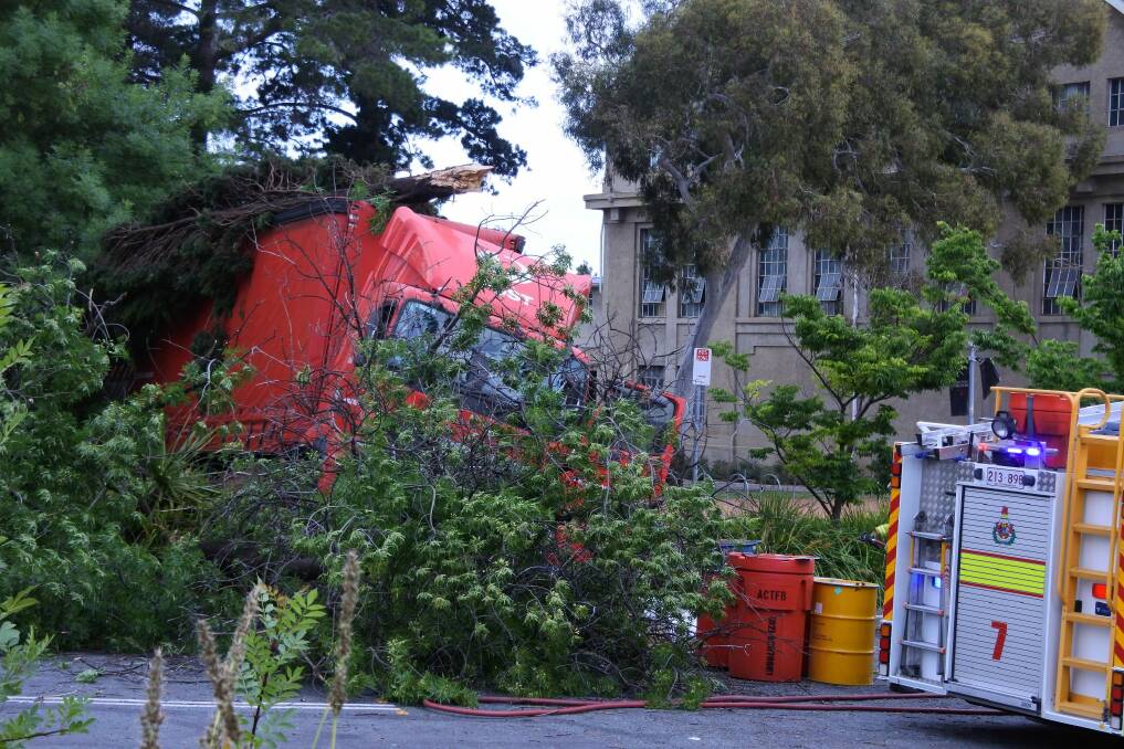 The driver of an Australia Post van was taken to hospital after the van ran off the road and hit a tree early Wednesday morning Photo: Clare Sibthorpe