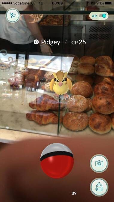 Euan Brown joked the appearance of this Pidgey inside a Canberra cafe was unhygienic. Photo: Euan Brown