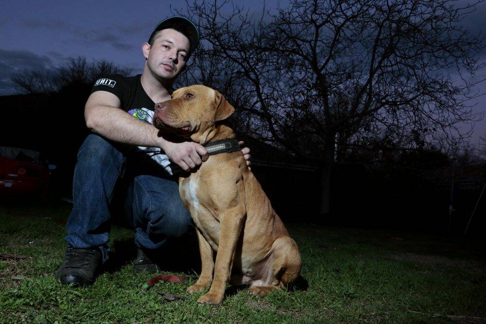 Justen Storay from Griffith with his dog Laps in his backyard. Laps was sprayed with capsicum spray by an ACT police officer while on a chain. Photo: Jeffrey Chan
