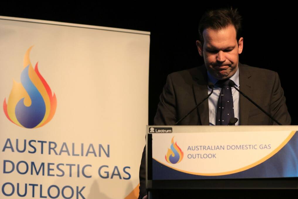 Resources Minister Senator Matt Canavan's position will be considered by the High Court after he claimed his mother made him a dual citizen without his knowledge. Photo: Kirk Gilmour