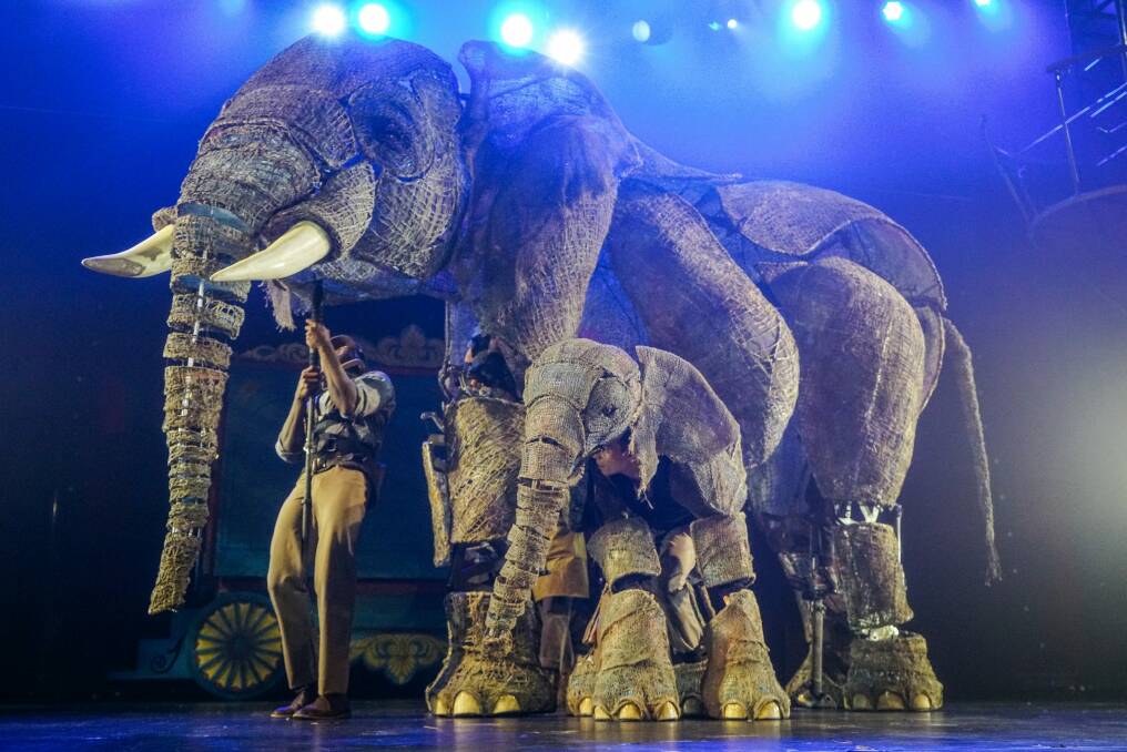 The elephants in <i>Circus 1903 - The Golden Age of Circus</i>. Photo: David James McCarthy